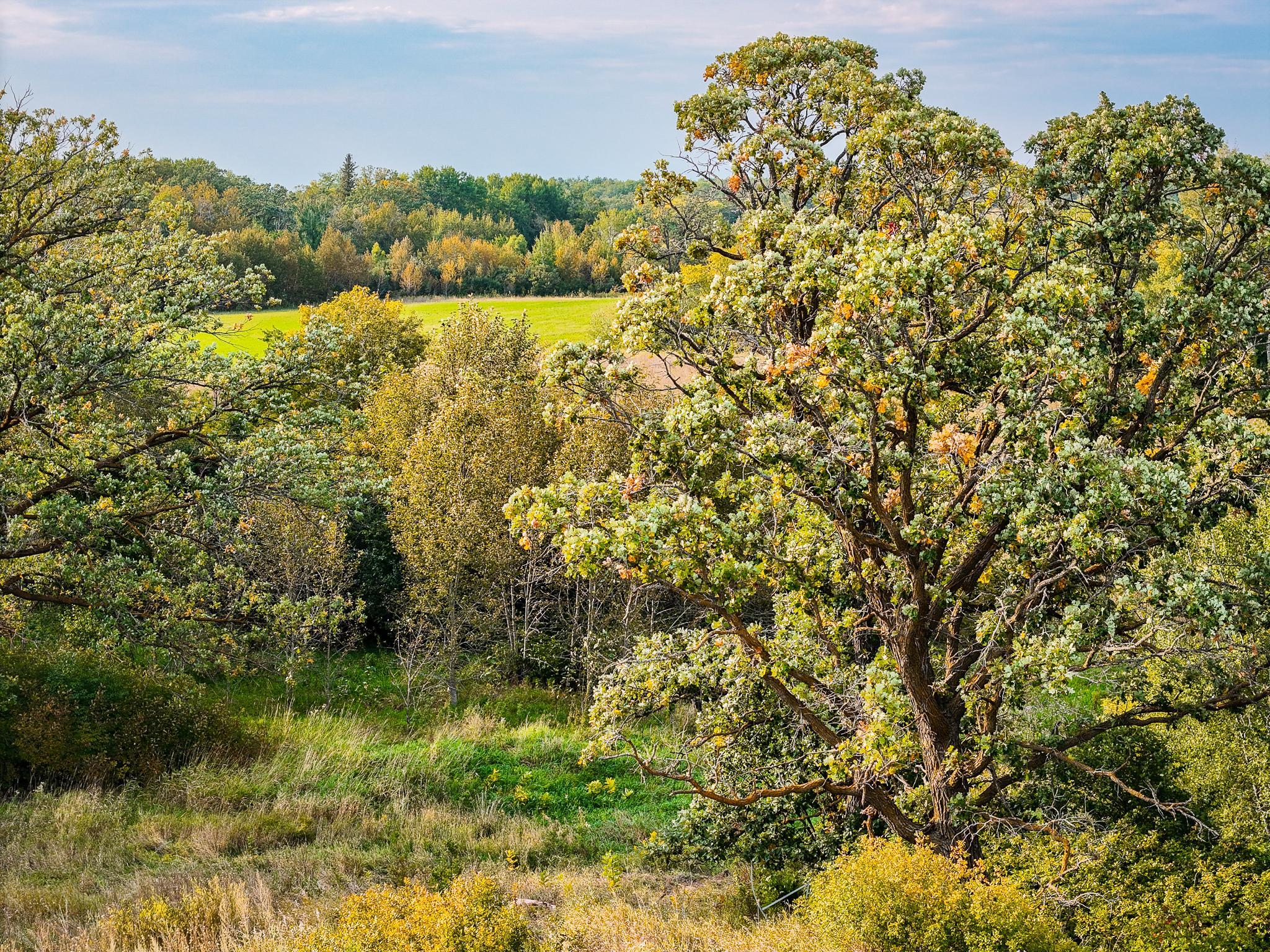 34774 400th Street Southeast Fosston, MN 56542 - Photo 36 of 65