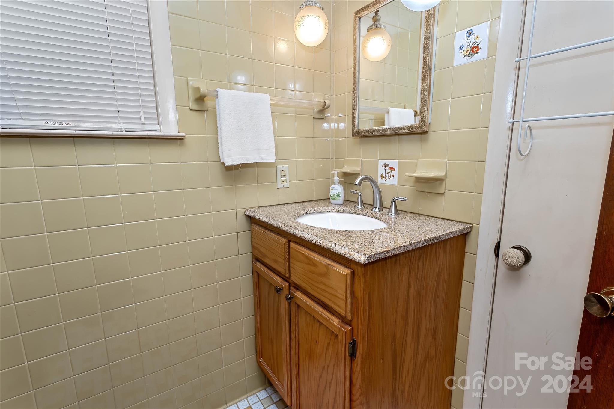 45 Cub Road Asheville, NC 28806 - Photo 19 of 46 a bathroom with a sink and a mirror