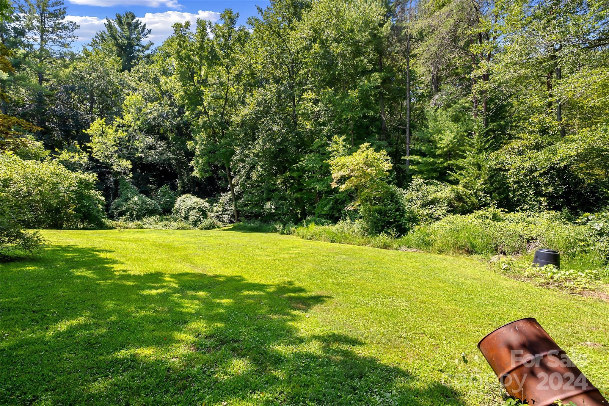 45 Cub Road Asheville, NC 28806 - Photo 46 of 46 a view of a lake with a yard