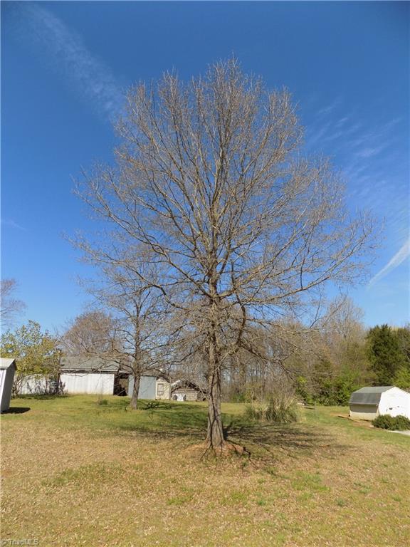 3104 Tyro Road Lexington, NC 27295 - Photo 8 of 28 Gorgeous mature pin oak.