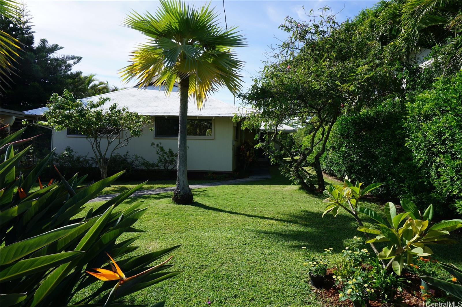 1522 Piikea Street Honolulu, HI 96818 - Photo 1 of 1 a backyard of a house with lots of green space