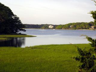 a view of a lake with houses in the back