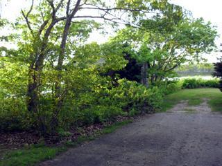 68 Bayview Road Mashpee, MA 02649 - Photo 4 of 10 a view of a garden with plants and large trees