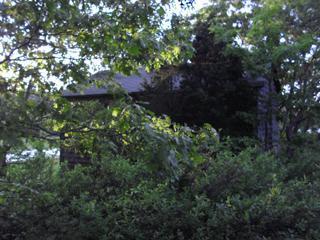 68 Bayview Road Mashpee, MA 02649 - Photo 5 of 10 a backyard of a house with lots of green space and a fountain