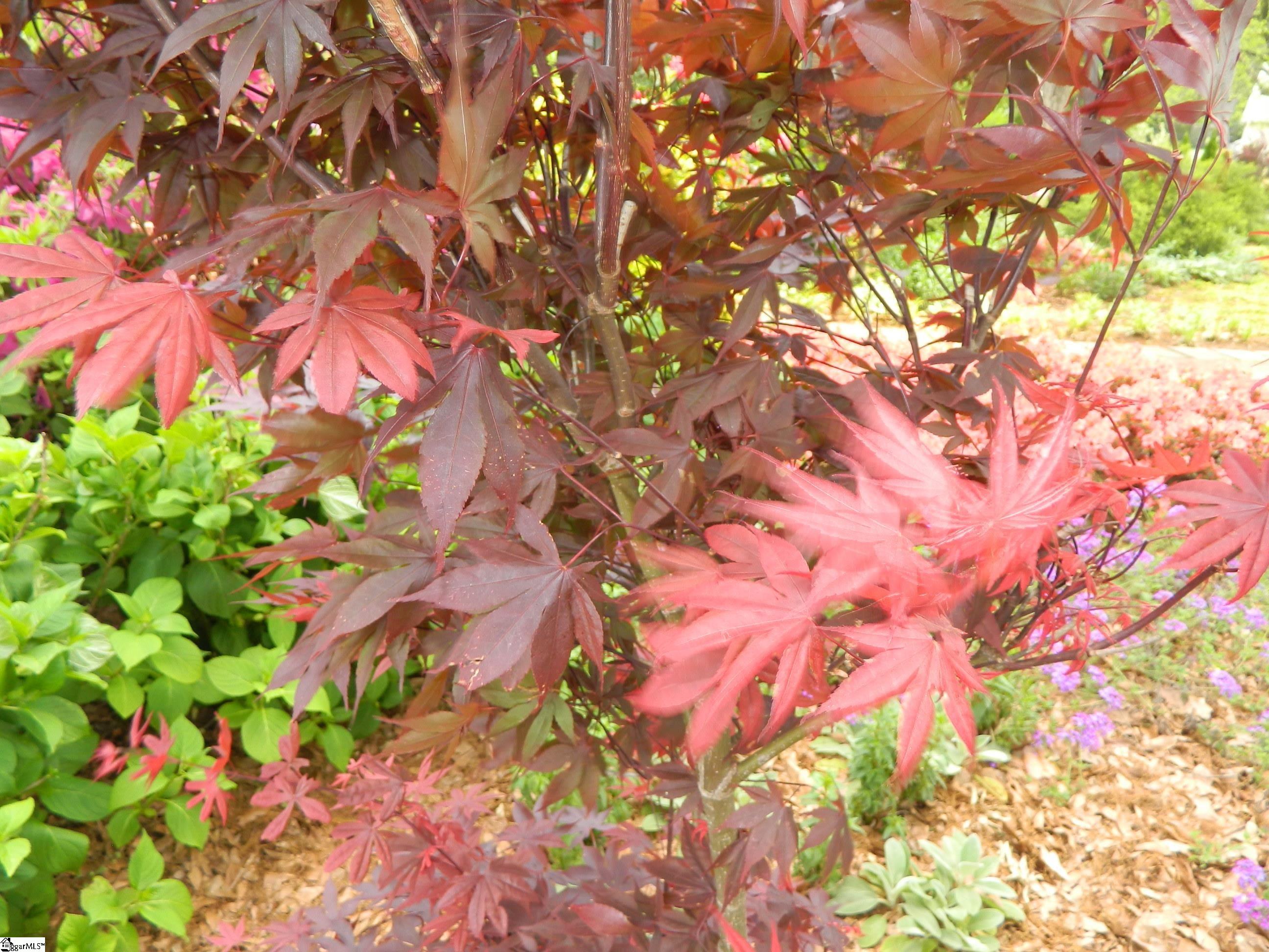 1818 Centerville Road Anderson, SC 29625 - Photo 33 of 36