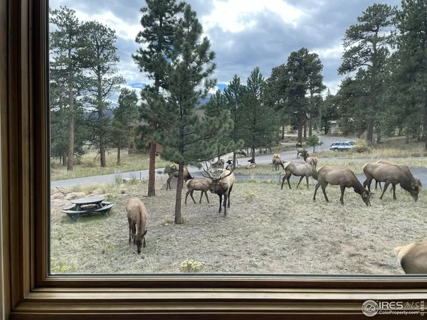 a open kitchen with a sink appliances and cabinets