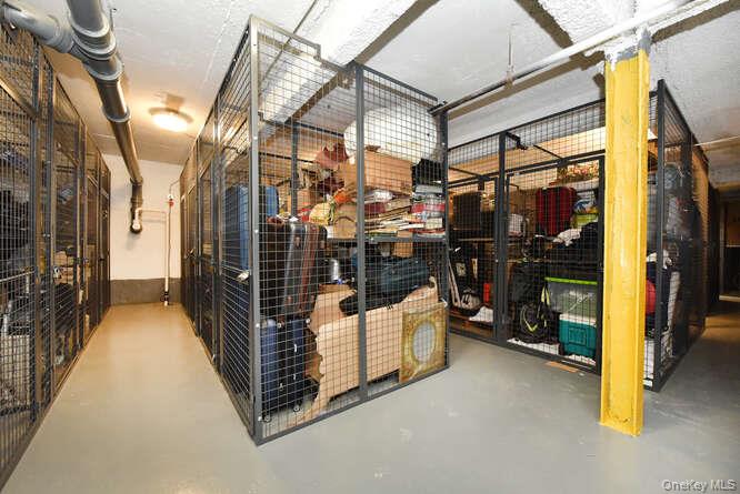 320 East Shore Road, Unit 6B Great Neck, NY 11023 - Photo 11 of 17 a view of a storage room