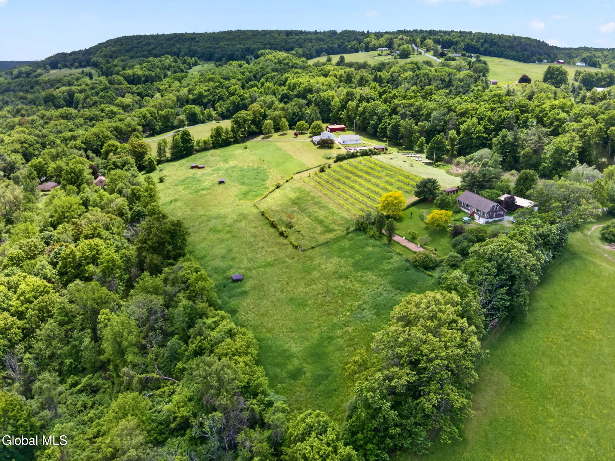 146 Biechman Road Coeymans, NY 12143 - Photo 54 of 57 54-web-or-mls-054-DJI_0680