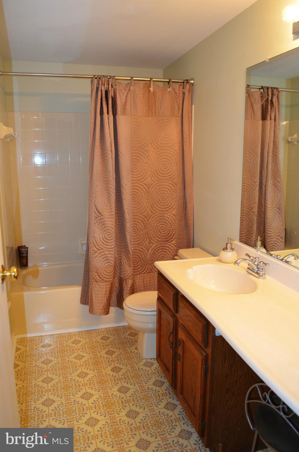9402 Tall Window Way Columbia, MD 21046 - Photo 18 of 29 Bath (Master)