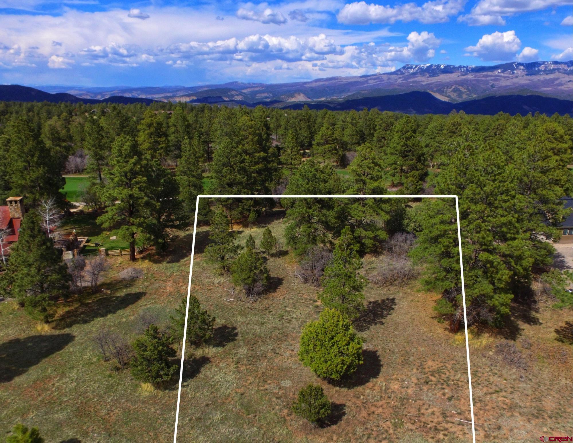 170 Puma Lane Ridgway, CO 81432 - Photo 4 of 7
