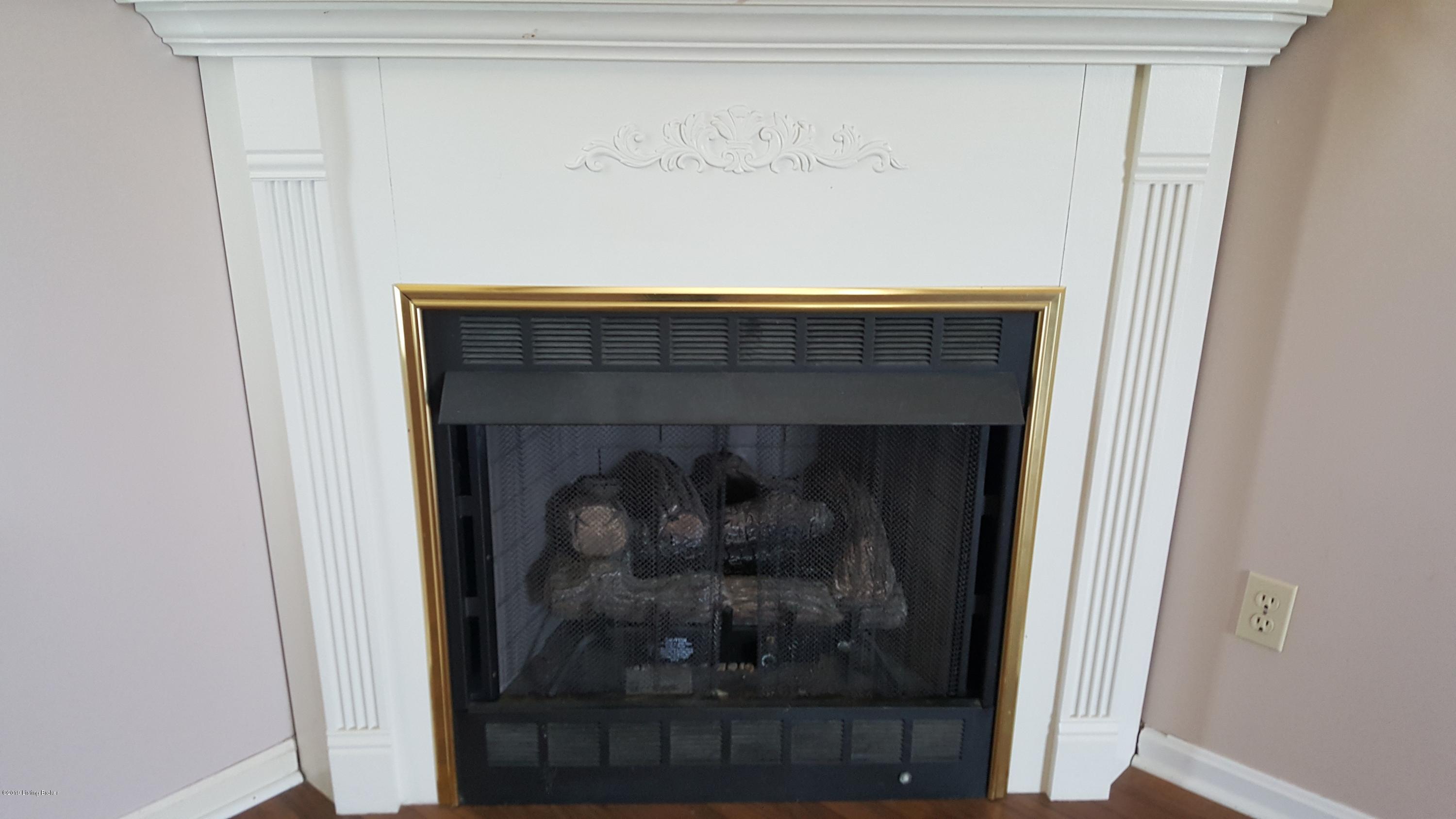3255 Fireplace
