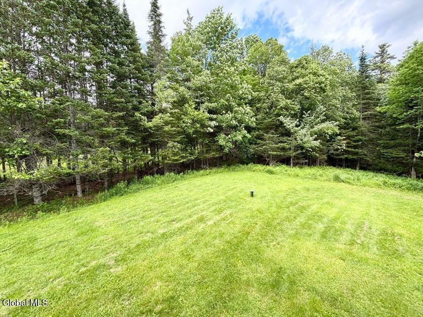 31 Chaisson Road Newcomb, NY 12852 - Photo 42 of 51 IMG_2654