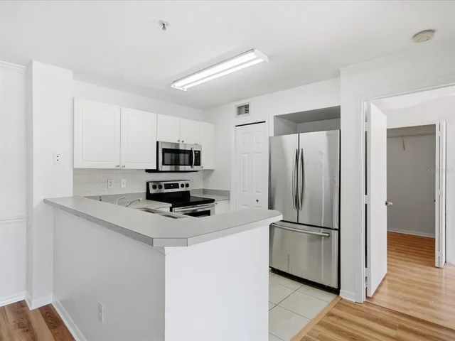 $225,000 | 4209 Woodstorks Walk Way, Unit 1204, Lutz, FL 33558