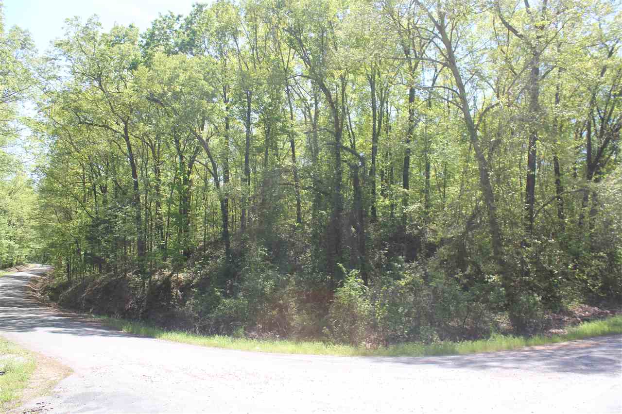 2 Hogan Road Lamar, MS 38642 - Photo 15 of 25 Gallery Image 15