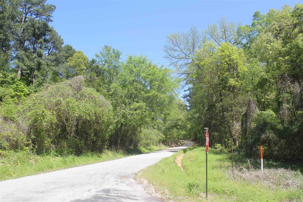 2 Hogan Road Lamar, MS 38642 - Photo 16 of 25 Gallery Image 16