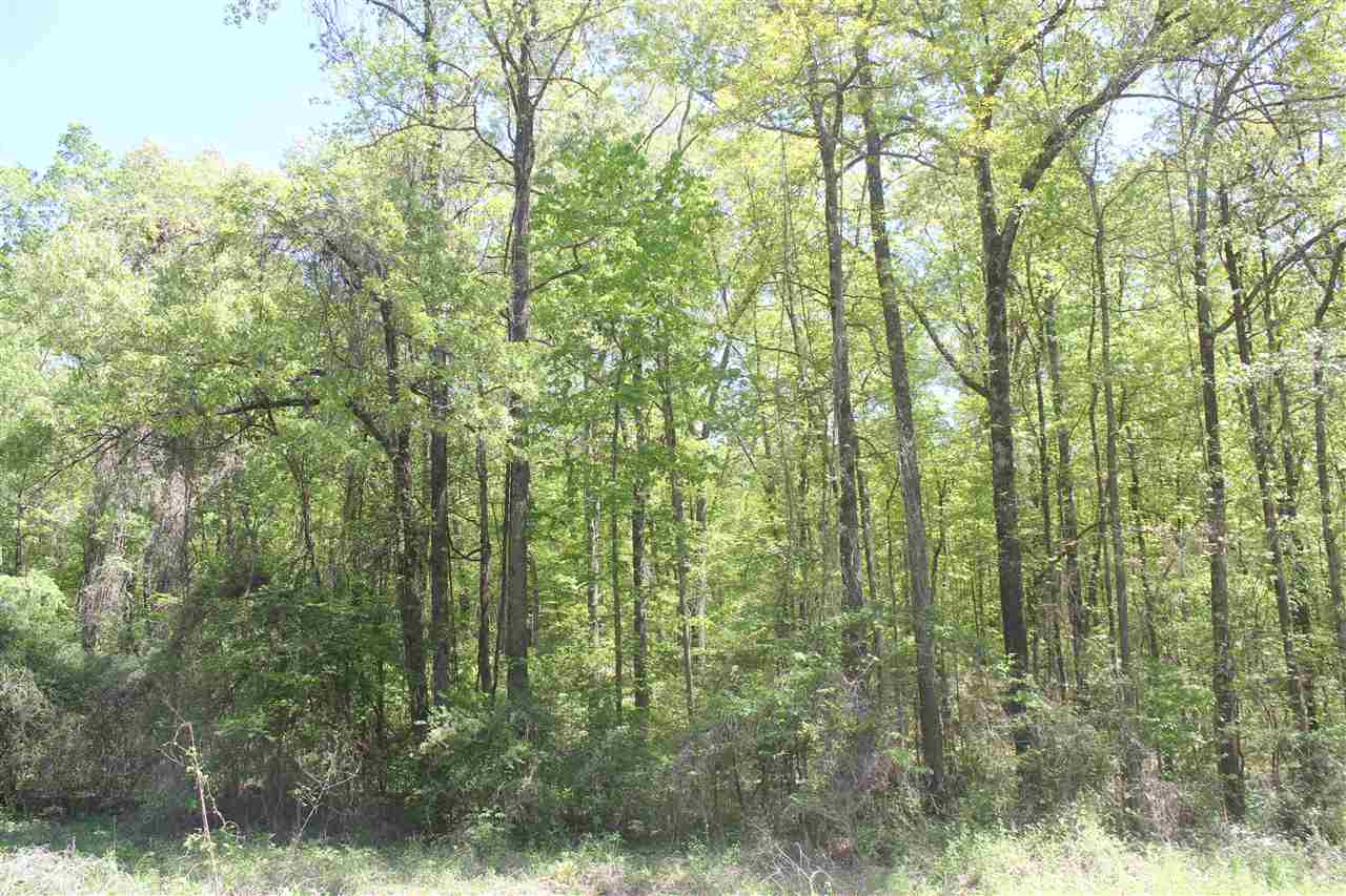 2 Hogan Road Lamar, MS 38642 - Photo 17 of 25 Gallery Image 17