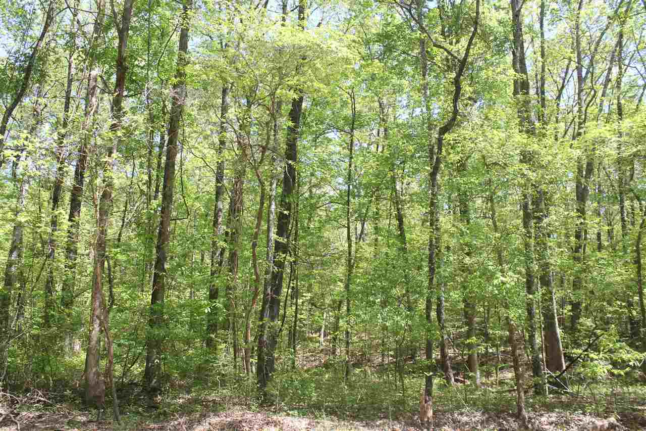 2 Hogan Road Lamar, MS 38642 - Photo 23 of 25 Gallery Image 23