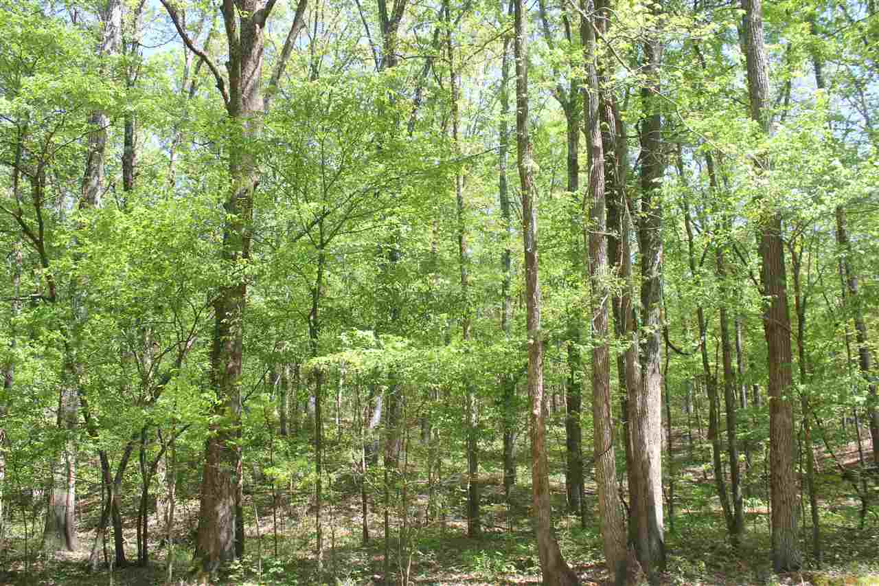 2 Hogan Road Lamar, MS 38642 - Photo 24 of 25 Gallery Image 24
