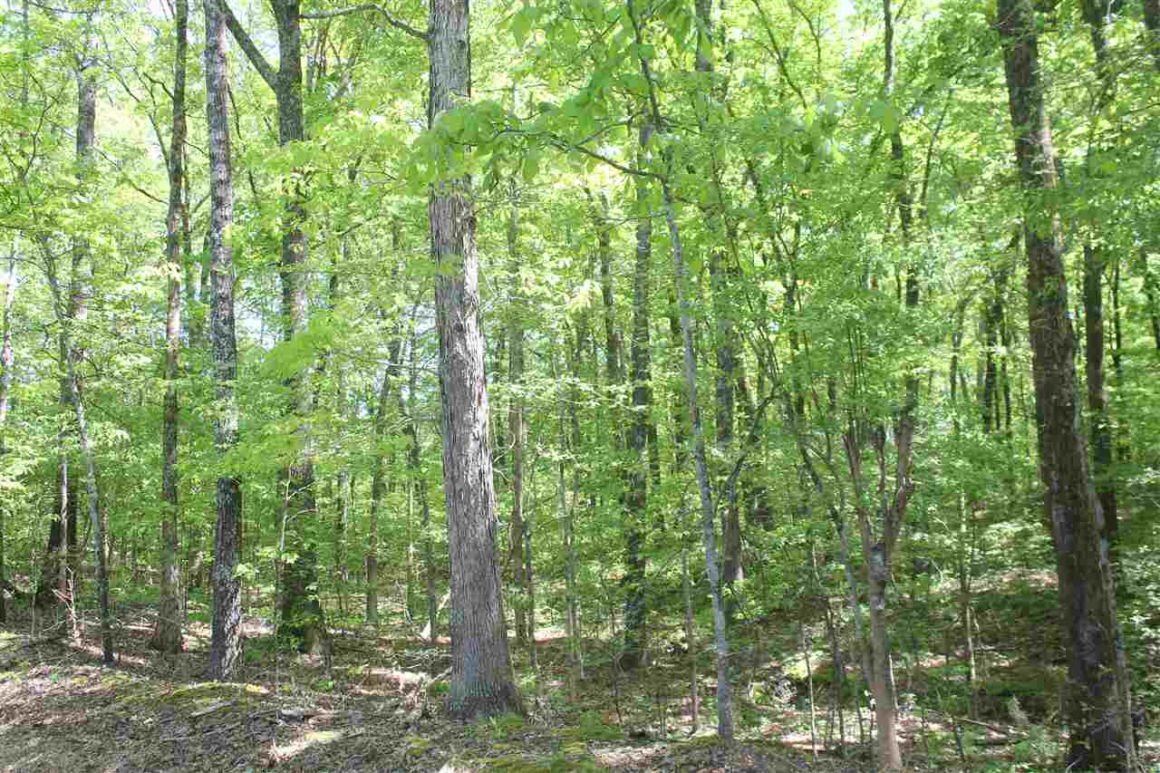 2 Hogan Road Lamar, MS 38642 - Photo 7 of 25 Gallery Image 7