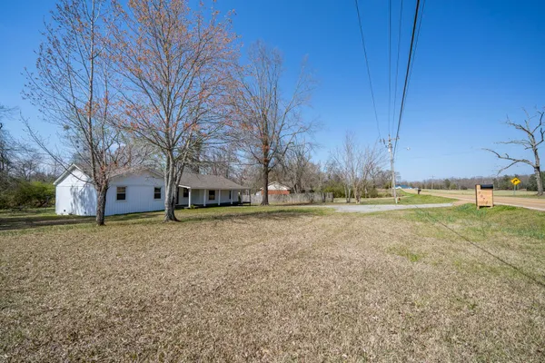 a view of large trees with open area