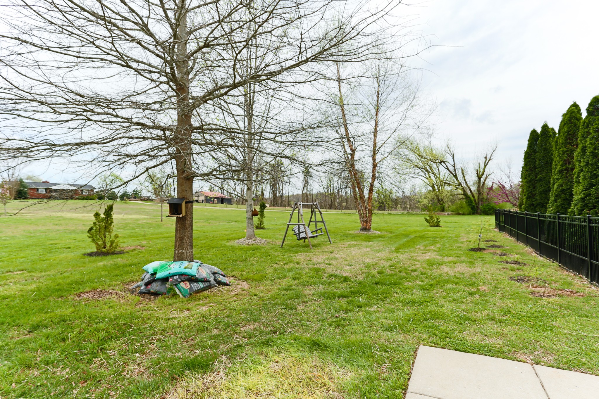 1700 Zevon Court Spring Hill, TN 37174 - Photo 65 of 71 a view of a park with large trees
