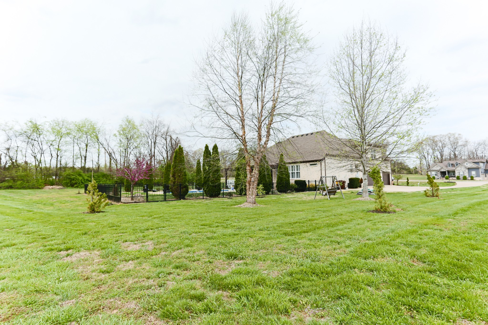 1700 Zevon Court Spring Hill, TN 37174 - Photo 67 of 71 a tall tree in middle of green field