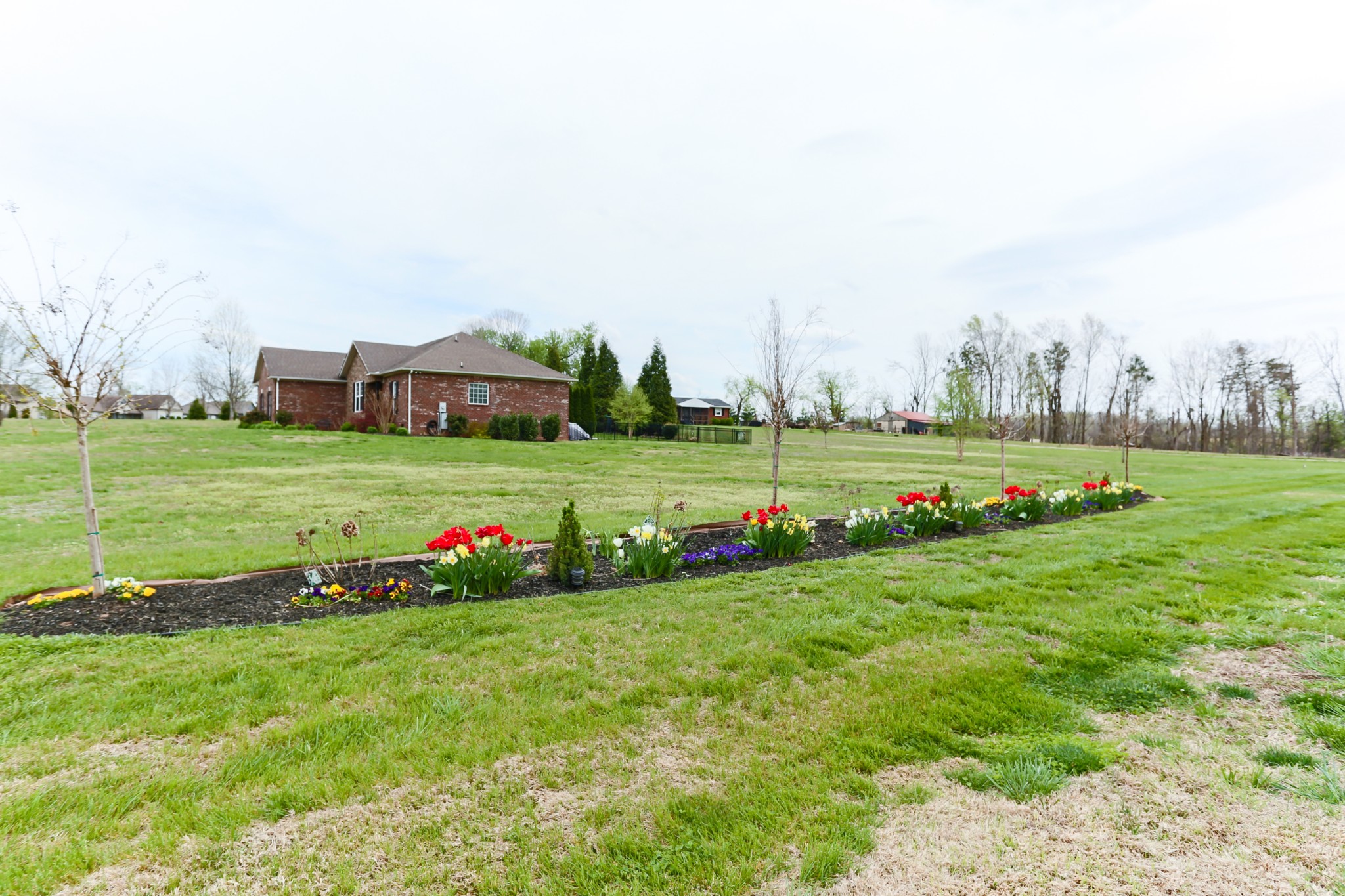 1700 Zevon Court Spring Hill, TN 37174 - Photo 9 of 71