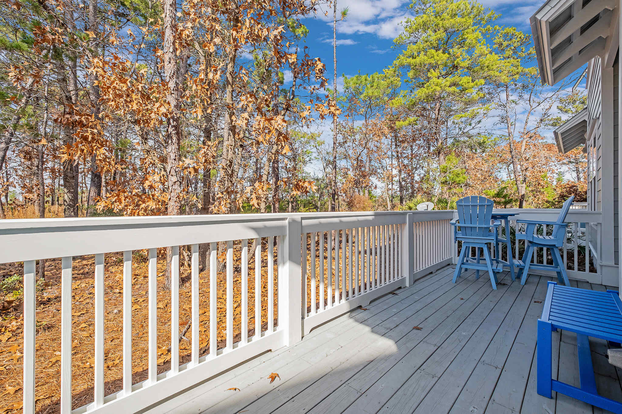 117 West W Pine, Unit A Inlet Beach, FL 32461 - Photo 10 of 30 Backs up to nature preserve