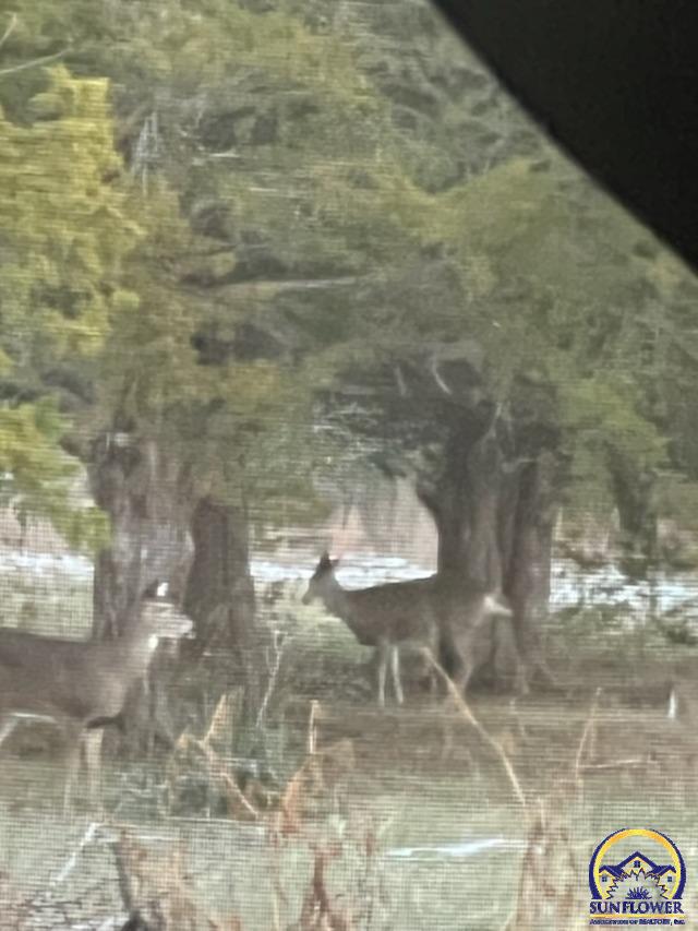 9020 Southwest Wanamaker Road Wakarusa, KS 66546 - Photo 41 of 41