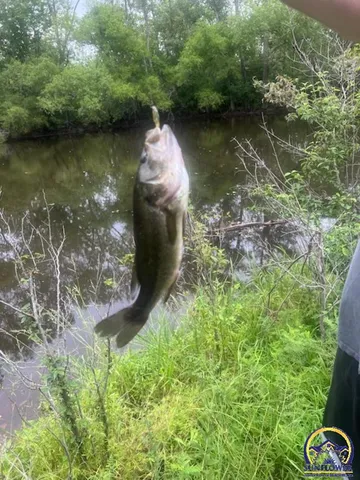 $475,000 | 9020 Southwest Wanamaker Road, Wakarusa, KS 66546