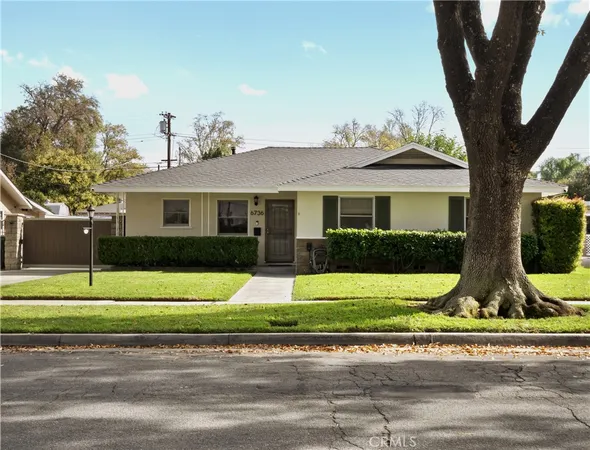 a view of a white house with a large windows and a yard with plants and large trees