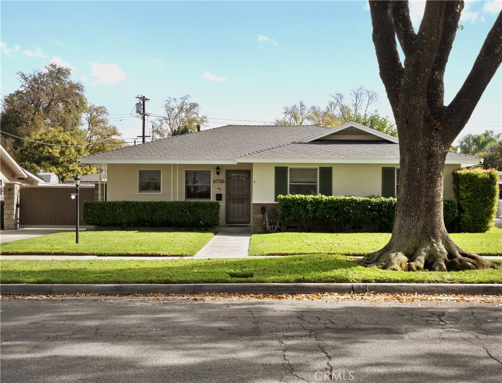a view of a white house with a large windows and a yard with plants and large trees