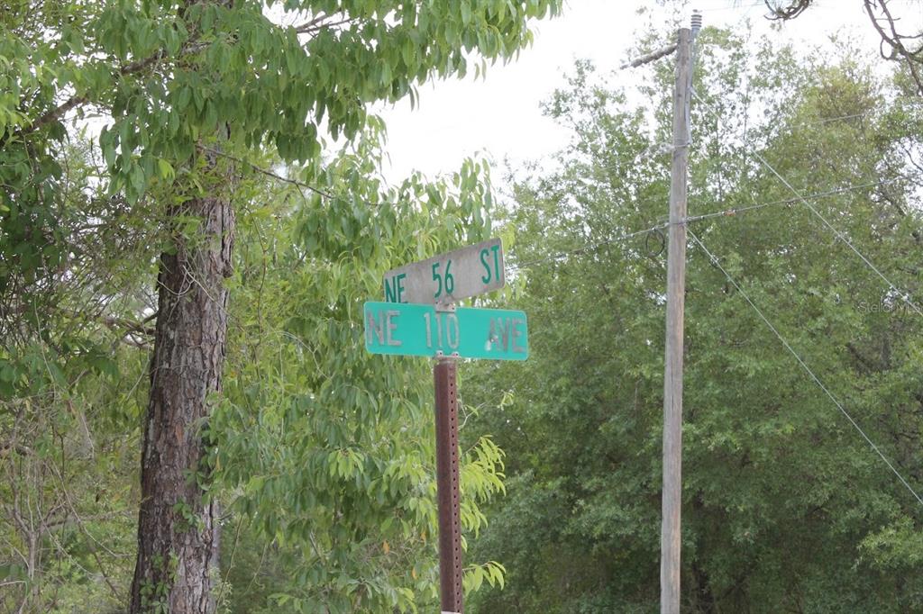 Northeast 56th Street Bronson, FL 32621 - Photo 13 of 22