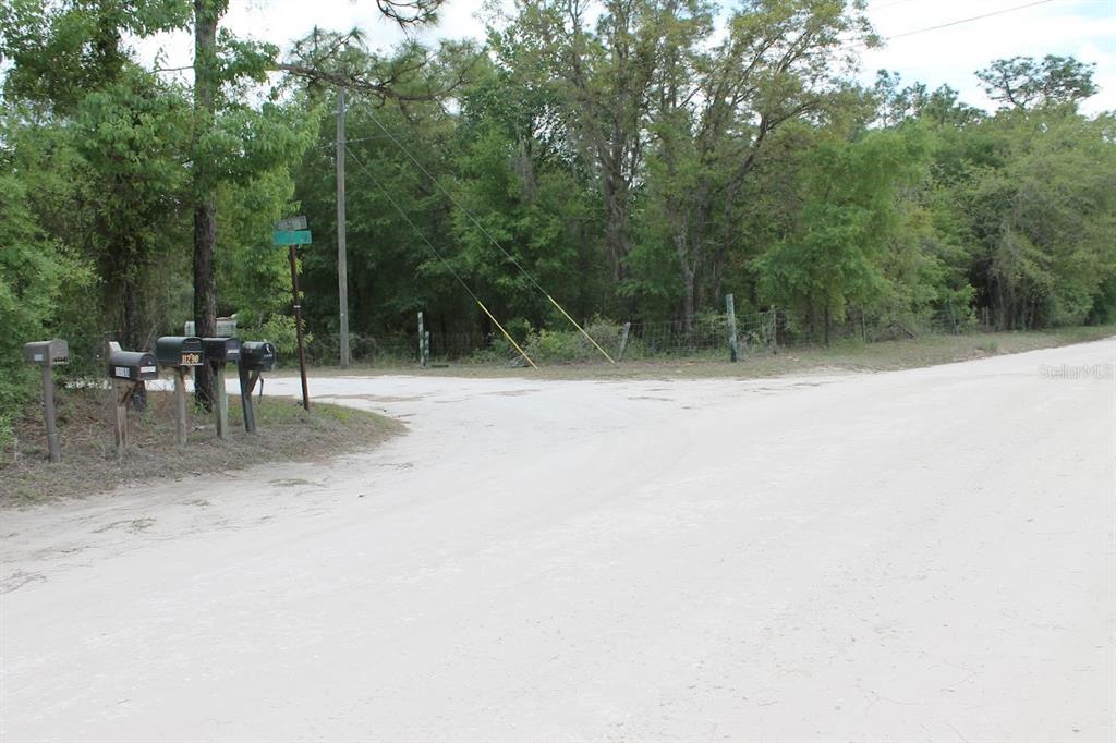 Northeast 56th Street Bronson, FL 32621 - Photo 16 of 22