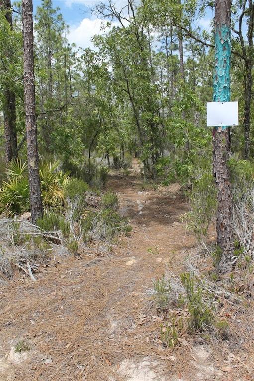 Northeast 56th Street Bronson, FL 32621 - Photo 20 of 22