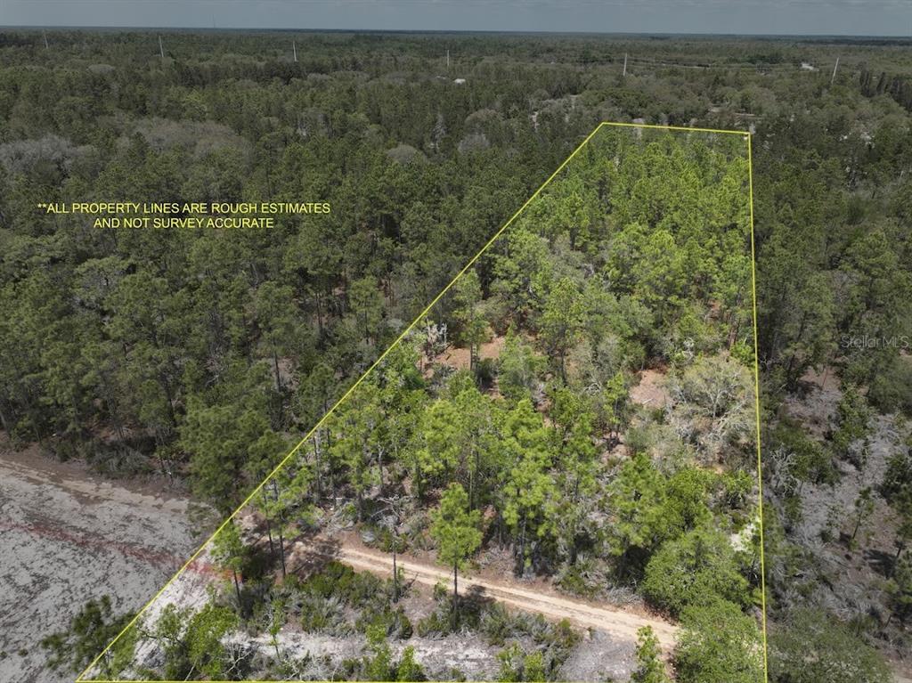 Northeast 56th Street Bronson, FL 32621 - Photo 3 of 22