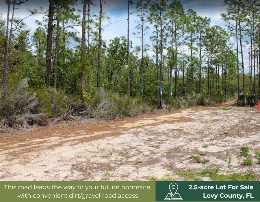 Northeast 56th Street Bronson, FL 32621 - Photo 10 of 22
