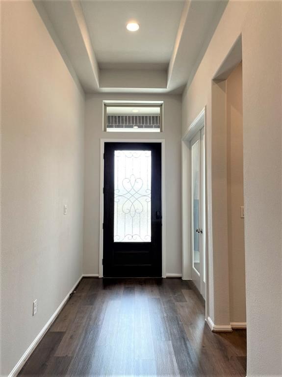 156 Santa Maria Street Georgetown, TX 78628 - Photo 3 of 40 Entryway featuring a raised ceiling and dark wood-style flooring