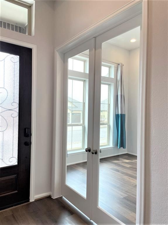 156 Santa Maria Street Georgetown, TX 78628 - Photo 4 of 40 Entrance foyer featuring french doors and dark wood-type flooring