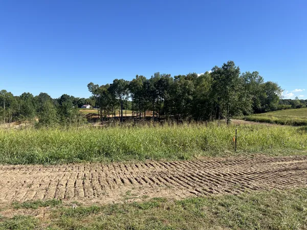 a view of a lake with a yard
