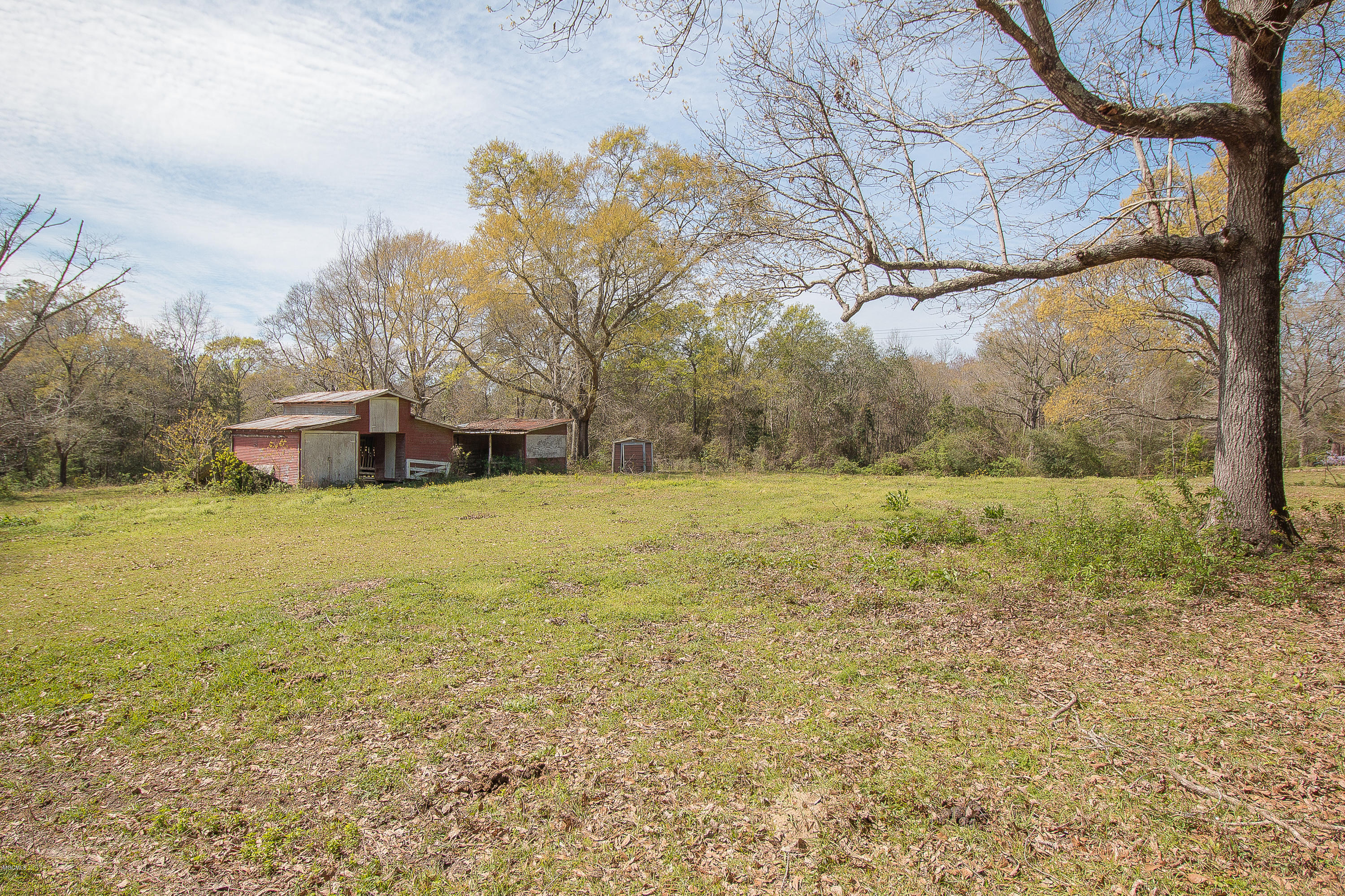 23367 South Pinecrest Road Saucier, MS 39574 - Photo 21 of 24 23367 S Pinecrest Road-barn