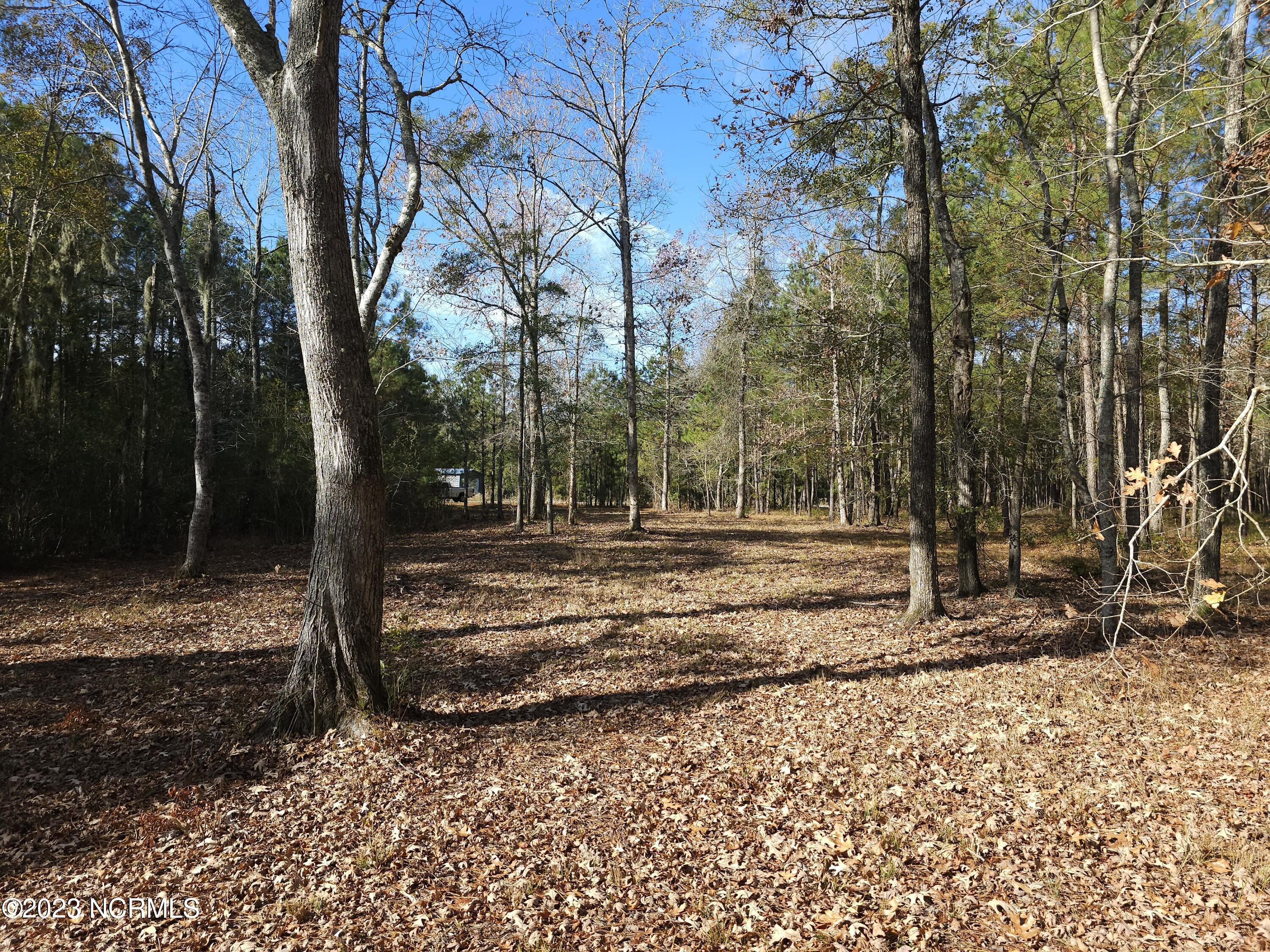 65 Tarpon Pointe Road Bath, NC 27808 - Photo 18 of 20 20231130_103952