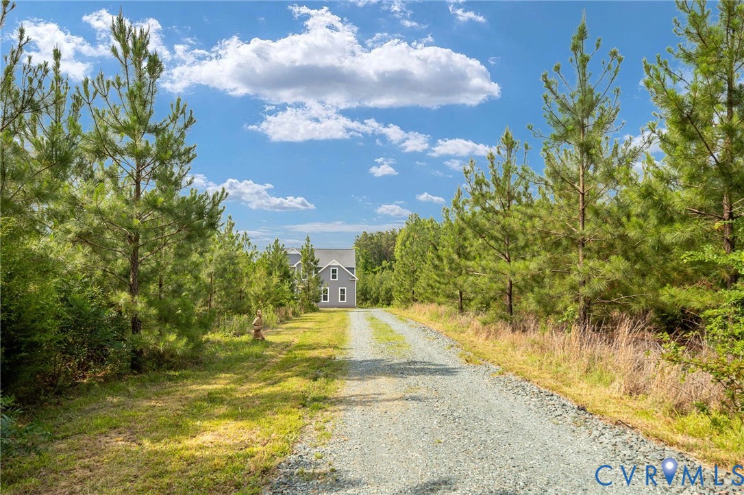 1775 West Old Mountain Road Louisa, VA 23093 - Photo 29 of 31 Private tree-lined entrance welcomes you home