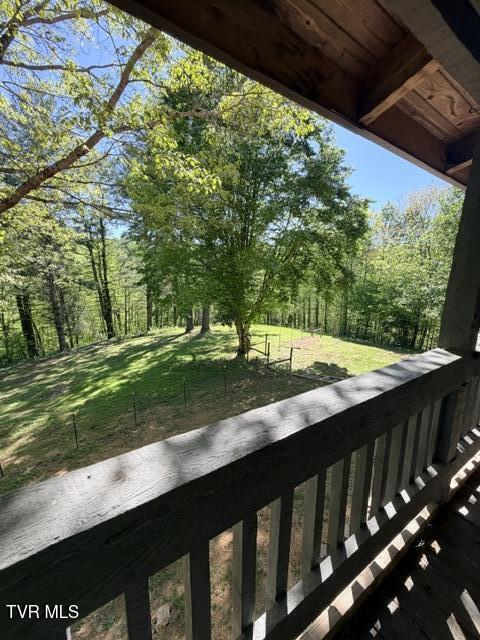 335 Bear Cage Road Roan Mountain, TN 37687 - Photo 33 of 68 IMG_1172