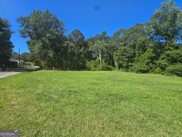 a view of a grassy field with trees in the background