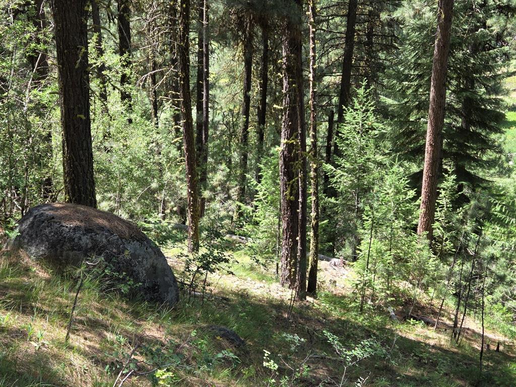 L16-b1 Lantern Way, Unit 16 Cascade, ID 83611 - Photo 16 of 39 Shade trees