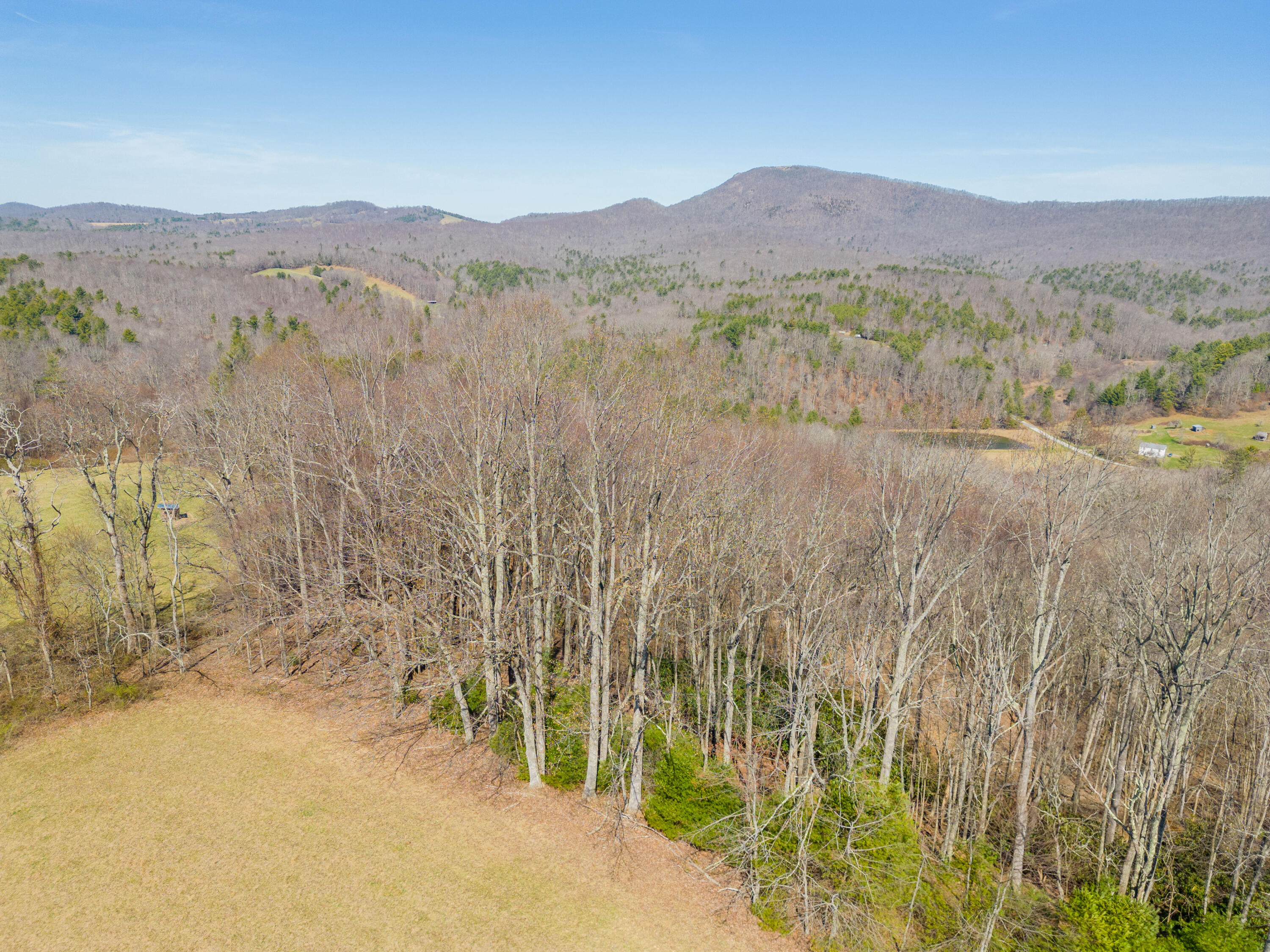 302 Red Ford Road Southwest Meadows Of Dan, VA 24120 - Photo 15 of 75 floyd-19