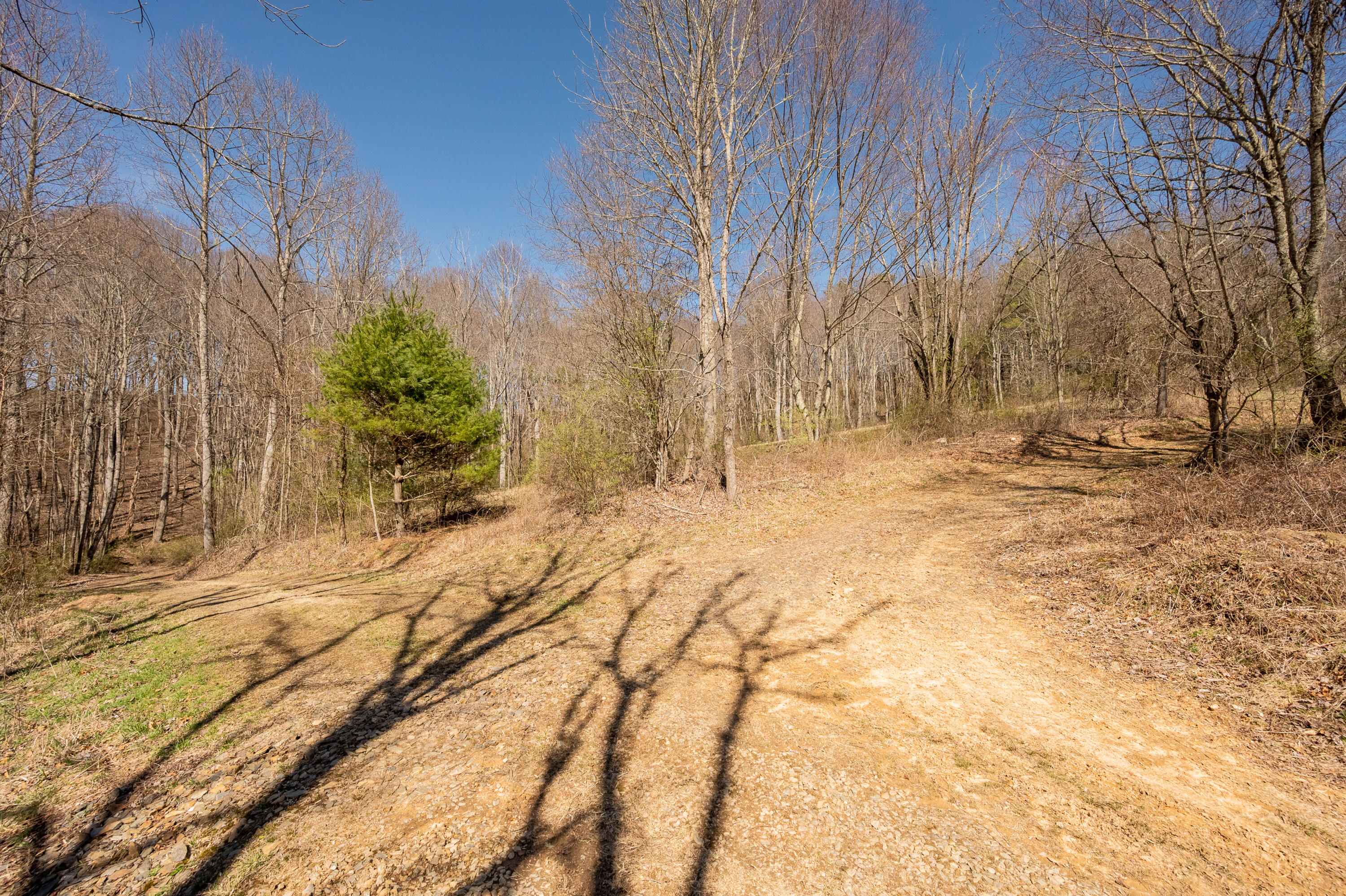 302 Red Ford Road Southwest Meadows Of Dan, VA 24120 - Photo 46 of 75 floyd-48