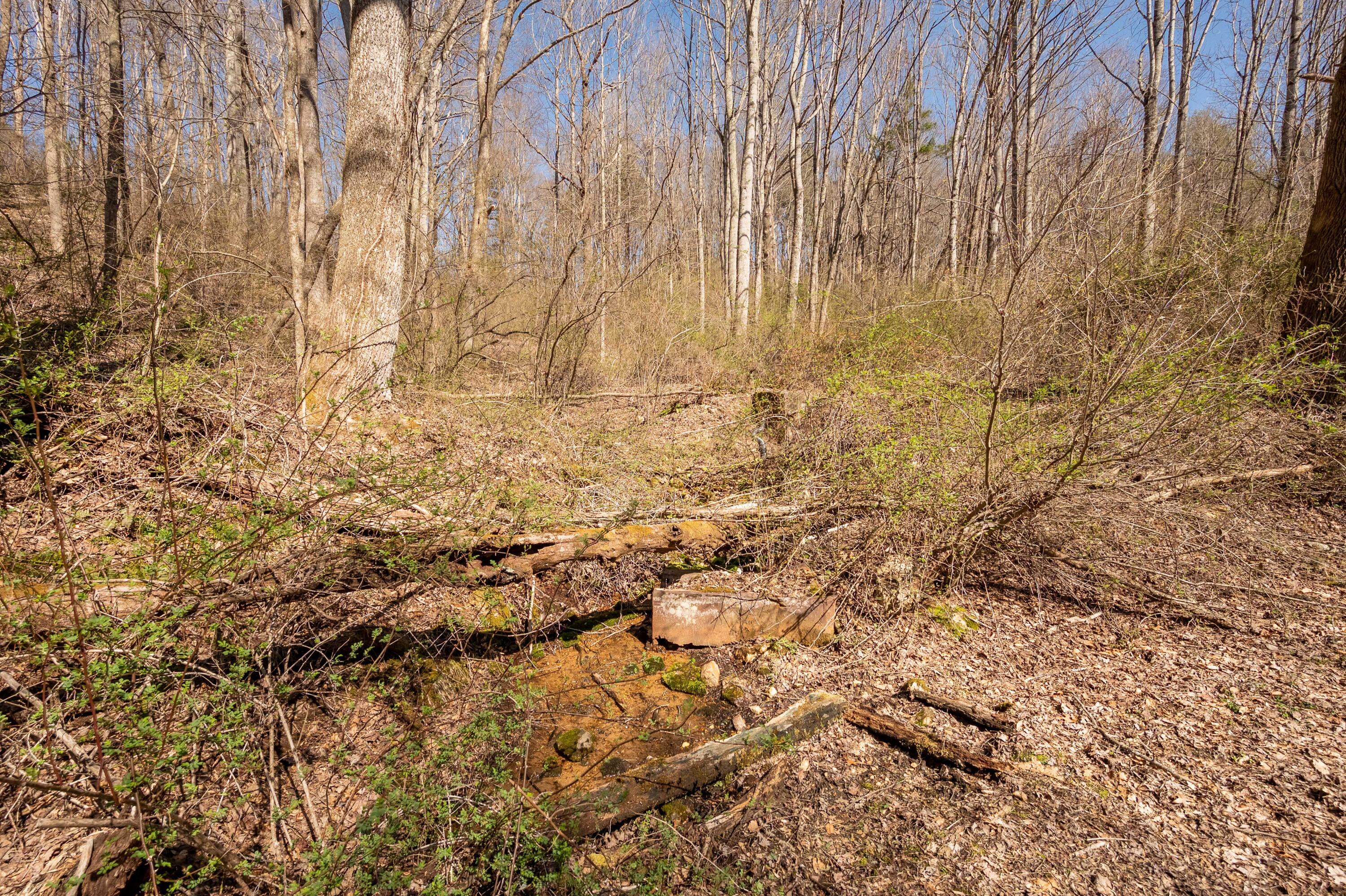 302 Red Ford Road Southwest Meadows Of Dan, VA 24120 - Photo 47 of 75 floyd-49
