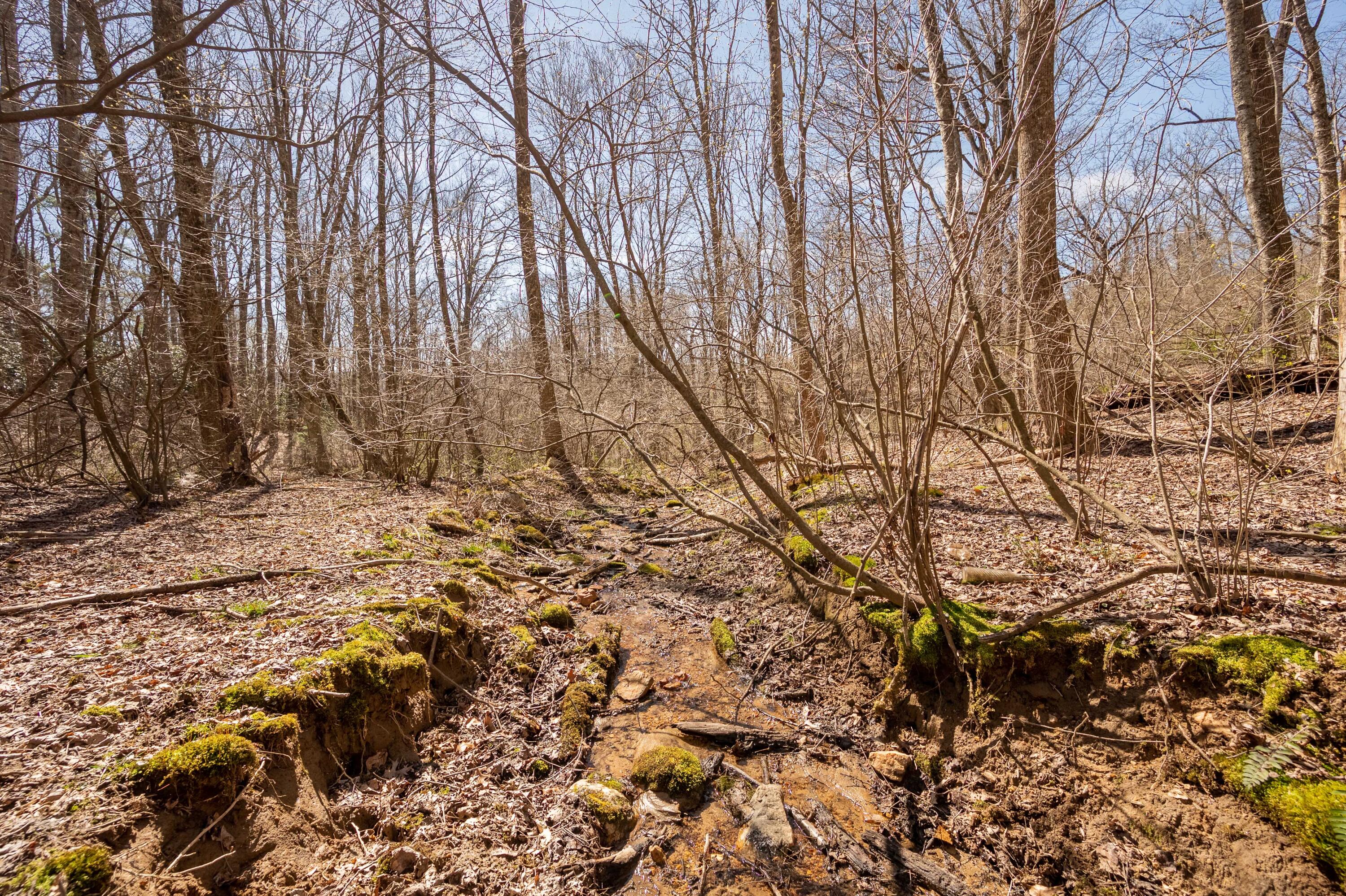 302 Red Ford Road Southwest Meadows Of Dan, VA 24120 - Photo 48 of 75 floyd-50
